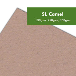SL Camel