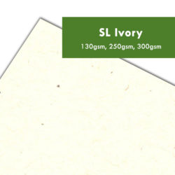 SL Ivory