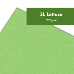 SL Lettuce