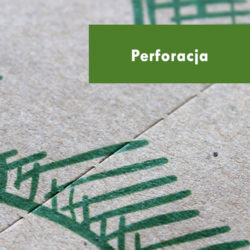 Perforcja